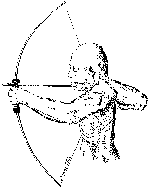 Bogenschütze
